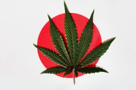 Le Japon autorise les médicaments au cannabis