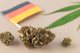 Légalisation de la weed en Allemagne