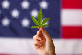 USA et la légalisation du cannabis