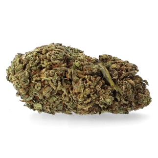 Amnesia Haze - Fleurs CBD