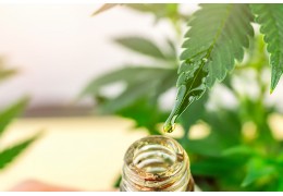 Qu'est-ce que le THC-V ?